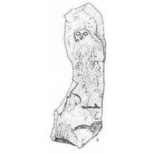 Click para ampliar. Pulsa en el nombre para ver la ficha. Pelayo 14 - Abamia (Corao) estela del dolmen